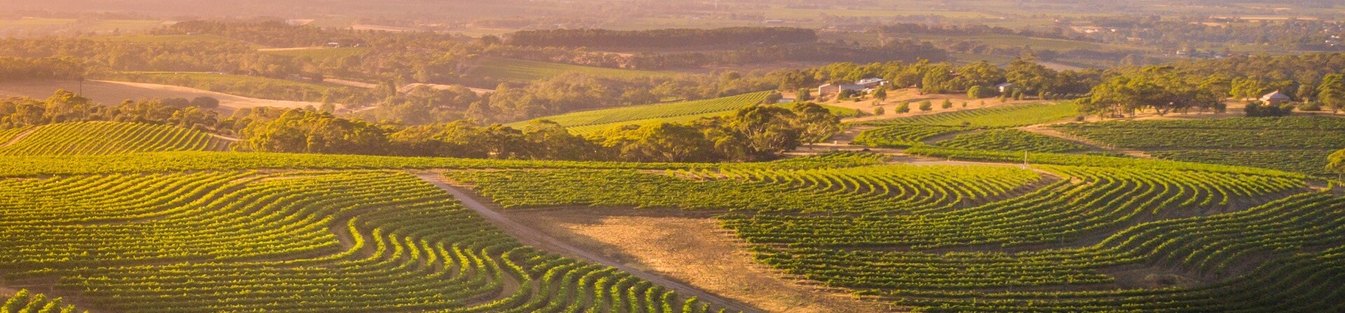 What wineries are in McLaren Vale?